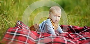 Cute five months old baby boy on his hands and knees on a blanket in a park on sunny summer day. Infant having fun outdoors.