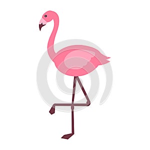 Cute of flamingo on cartoon version