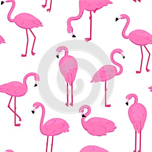 Cute flamingo pattern. Spring or summer happy tropical art, pink africa wallpaper or fabric. Fashion hawaii background