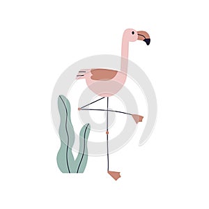 Cute flamingo, pink bird in Scandinavian style. Exotic tropical feathered fauna. Funny African animal with beak