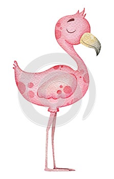 Cute flamingo watercolor illustration for textiles