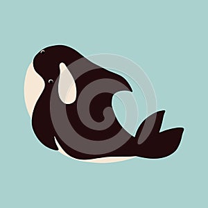 Cute flat killer whale drawing. Adorable little cartoon orca vector illustration. Childish rare animal wild ocean concept with