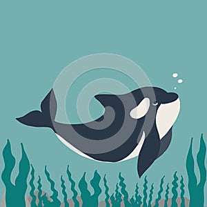 Cute flat killer whale drawing. Adorable little cartoon orca vector illustration. Childish rare animal wild ocean concept with