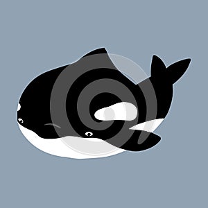 Cute flat killer whale drawing. Adorable little cartoon orca vector illustration. Childish rare animal wild ocean concept