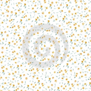 Cute flower watercolor pattern, simple wildflowers plants, yellow flowers, chamomile, grass. Illustration on white background.Good