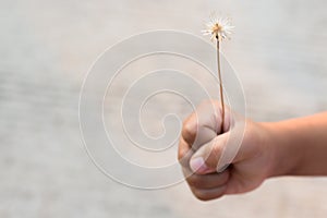 Cute flowers grass in my hand in vintage style