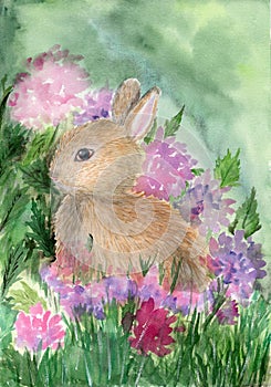A cute fluffy brown rabbit in a grass and flowers