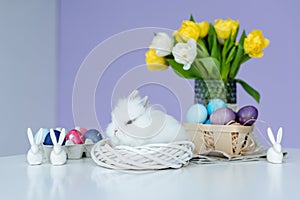 Cute fluffy bunny by painted eggs on table