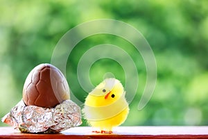 Cute Fluffy Chick And Chocolate Egg For Easter