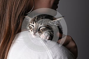 Cute fluffy kitten on owner& x27;s shoulder against gray background. Closeup of kitten is sleeping sweetly