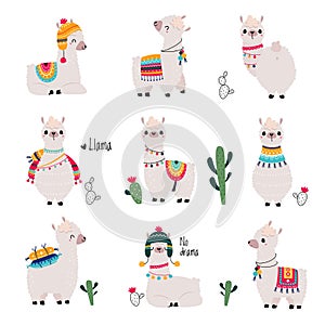 Cute Fluffy Llama or Alpaca Camelid Pack Animal Vector Set