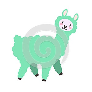Cute fluffy llama isolated on a white background. Hand drawn alpaca flat vector illustration. Nursery decoration. Stock