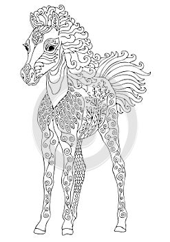 Cute foal, adult coloring page