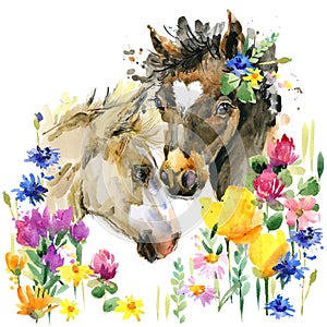 Cute foal watercolor illustration. farm animal