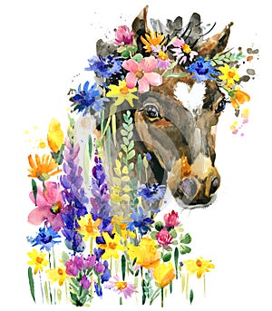 Cute foal watercolor illustration. farm animal photo