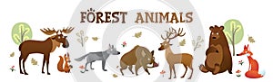 Cute forest animals collection with inscription