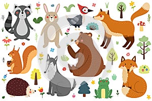 Cute forest animals collection. Woodland characters set in cartoon style