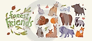 Cute forest animals set. Wild funny beast characters from woodland. Brown bear, fox, squirrel, owl bird, boar, wolf