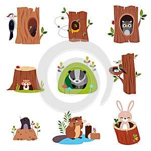 Cute Forest Animals Sitting in Burrows and Tree Hollows Vector Set