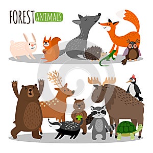 Cute forest animals vector collection isolated on white background