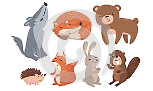 Cute Forest Animals Vector Set. Funny Baby Illustrated Collection