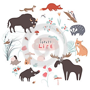 cute forest animals vector set for kid prints