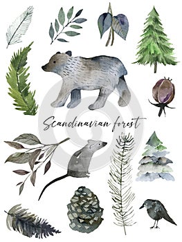 Cute forest watercolor symbols with woody landscape. Scandinavian decorative illustration.