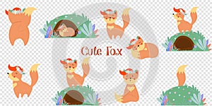 Cute fox big set isolated on transparent background