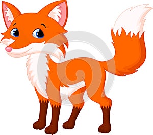 Cute fox cartoon