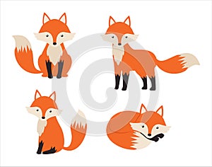 Cute fox cartoon set isolated on white background