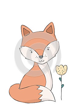 Cute fox and flower. Woodland animal.