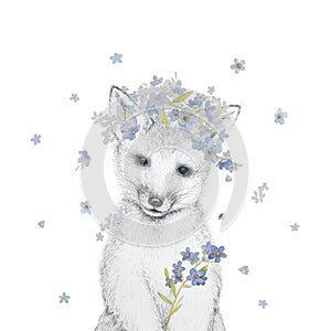 Cute Fox with Forget Me Not Flowers Illustrations. Nursery Wall Art