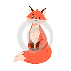 Cute fox pup portrait. Smiling wild animal sitting with fluffy shaggy tail. Happy friendly foxy character with orange
