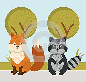 cute fox and raccoon wild animals forest landscape tree
