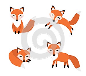 Cute fox set flat style. Foxy in different poses, sleeping, jumping, sitting.