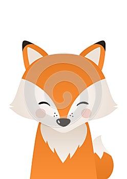 Cute fox. Woodland forest animal.