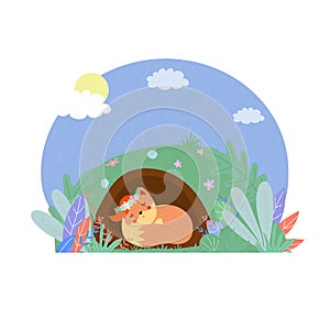 Cute fox in wreath sleep in hole at sunny day