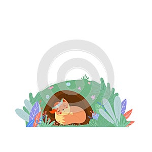 Cute fox in wreath sleeping in foxhole isolated photo