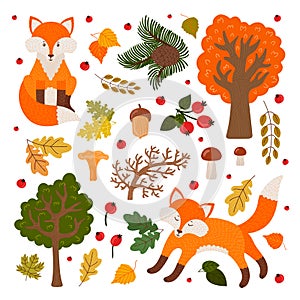 Cute foxes in the forest. Vector set