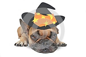 Cute French Bulldog dog with big eyes wearing a black Halloween paper witch hat with stars lying down