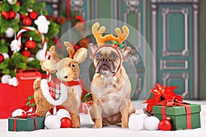 Cute French Bulldog dog with costume reindeer headband with antlers sitting next to Christmas decoration