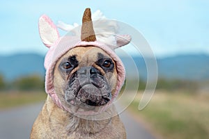 Cute French Bulldog dog dressed up with Halloween costume in shape of pink knitted  unicorn hat