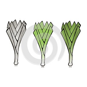 Cute fresh leek cartoon style illustration set