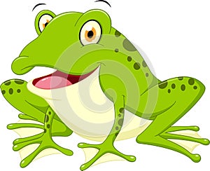 Cute frog cartoon