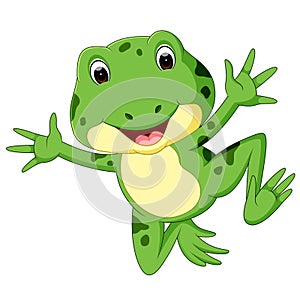 Cute frog cartoon