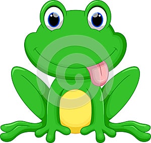 Cute frog cartoon