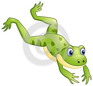 Cute frog cartoon leaping