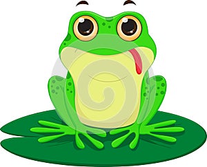 Cute Frog cartoon