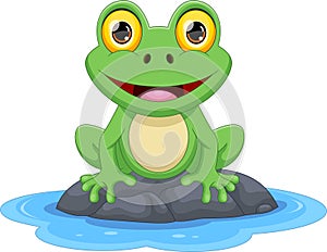 cute frog cartoon on white background
