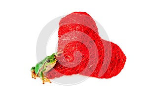 Cute frog heart valentine. Valentines Day. Romantic concept